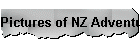 Pictures of NZ Adventure
